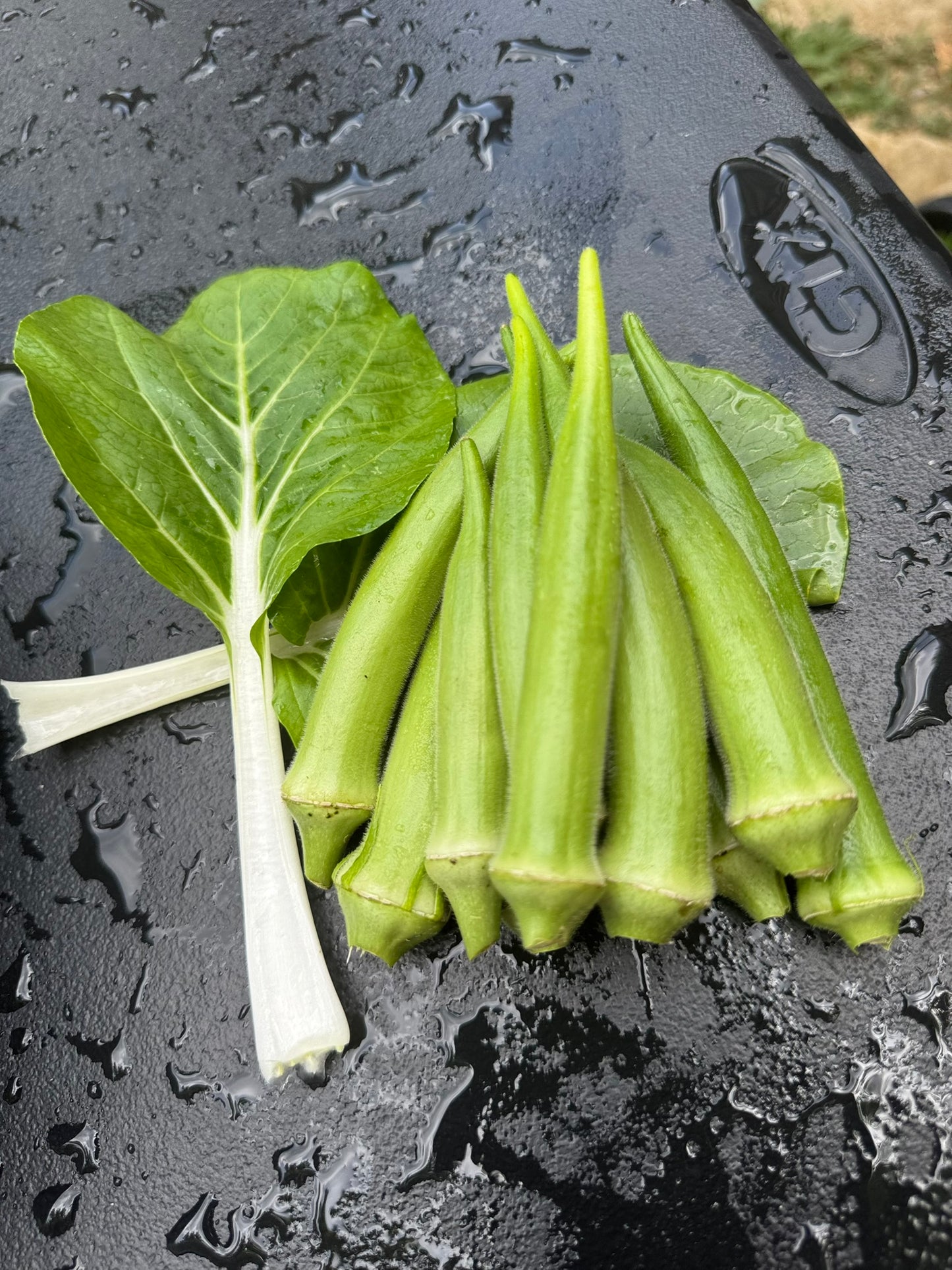 Okra
