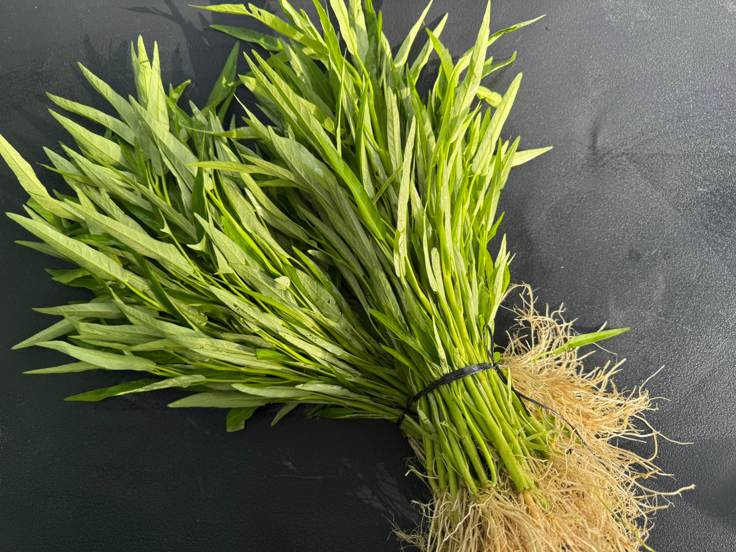 Chinese Kangkong