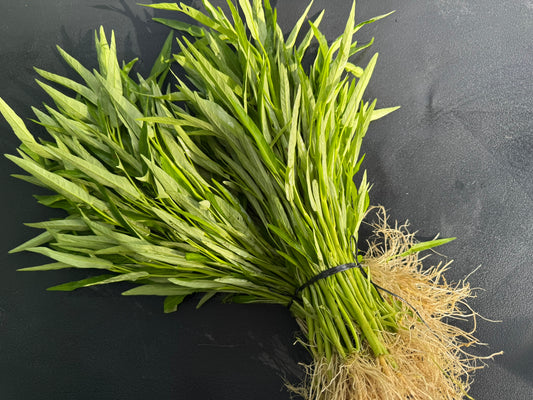 Chinese Kangkong